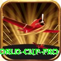 2019 world cup Cash Ultimate