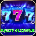 andy flower Pro v3.6.4
