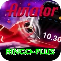 bingo Turbo v2.9.6