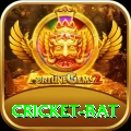 cricket bat Master Pro v5.1.2