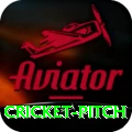 cricket pitch Pro1 v4.2.7