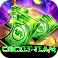 cricket team Ultimate v2.7.9