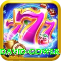 david gower Pro Max v3.4.7