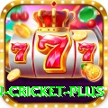 fastest ball in cricket Deluxe - Free Download