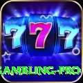 gambling Slot Machine VIP