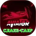 grass carp Apps (Tools & Injectors) Deluxe v5.0.7