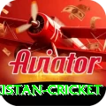 india pakistan cricket Pro Edition v2.3.0