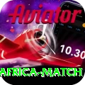 india south africa match VIP Edition v5.6.8