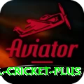 international cricket - Max v3.2.9