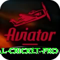 international cricket Casino Official v1.1.0
