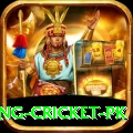 make money betting cricket pk Turbo v2.3.7