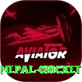 nepal cricket Pro1 v5.8.4