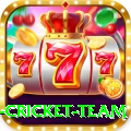 new zealand cricket team Gold Edition v5.6.4