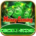 online cricket score Pro Edition v4.8.3
