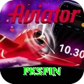 pkspin Master Pro vv3.7.4