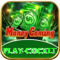 play cricket Apps (Tools & Injectors) Turbo v1.4.0