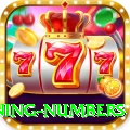 powerball jackpot winning numbers Elite v4.5.3