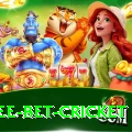 risk free bet cricket Pro1 v4.0.9
