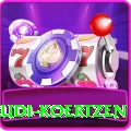 rudi koertzen Max Pro v3.8.7