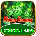 smart cricket live Apps (Tools & Injectors) Gold v3.1.6