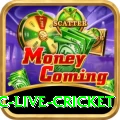 smartcric live cricket Games (Casino & Earning) VIP v1.3.4