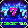 test cricket Master PK v5.3.1