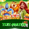 test match VIP Pro v2.3.6