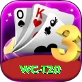 wc t20 Apps (Tools & Injectors) Max v1.4.0