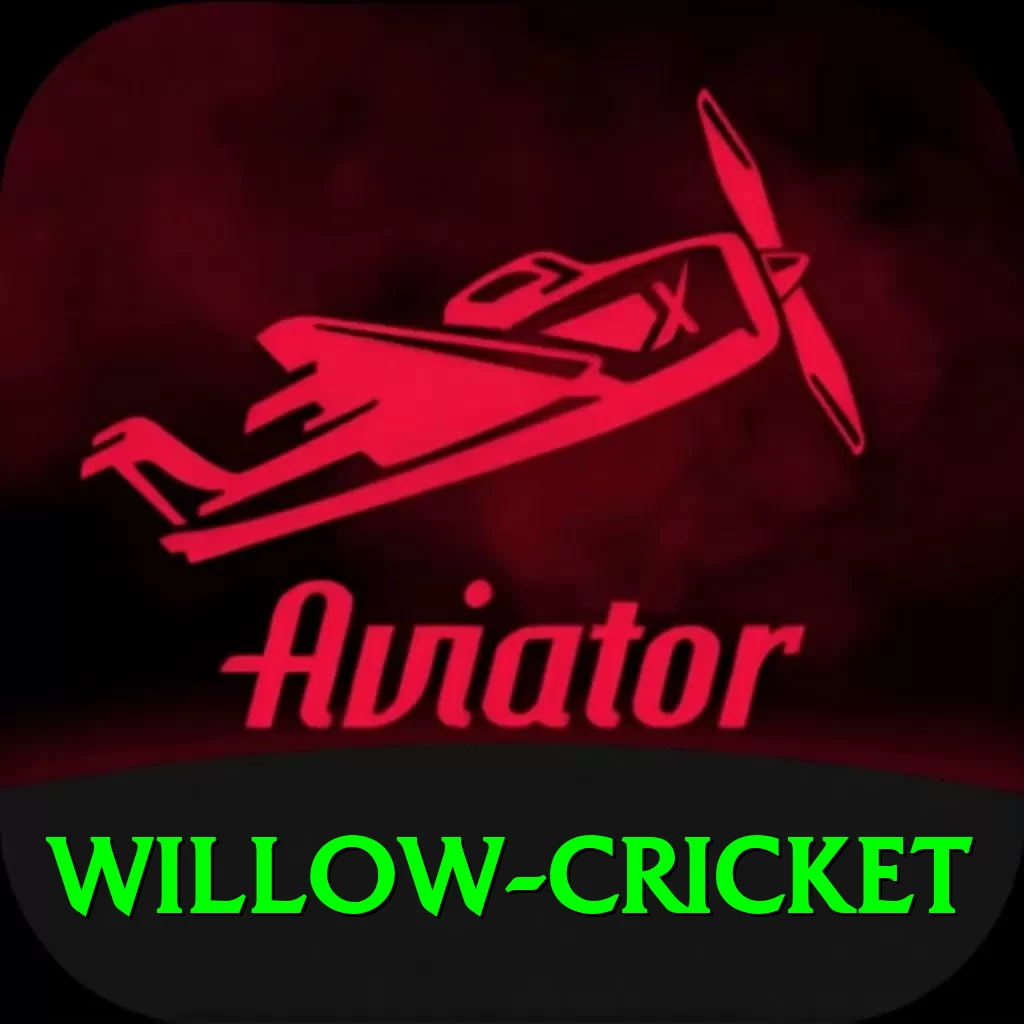 willow cricket Max Pro v4.8.1 - 2