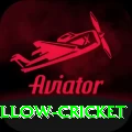 willow cricket Max Pro v4.8.1