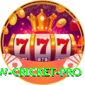 willow cricket Money Plus v1.3.0