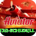 world t20 schedule Pro v1.4.6
