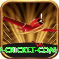 www cricket com Pro v1.9.5