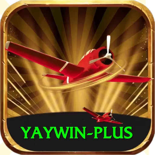yaywin VIP Edition v5.7.0 - 2